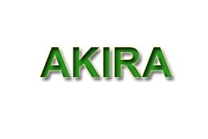 đệm điện AKIRA đến từ Nhật Bản